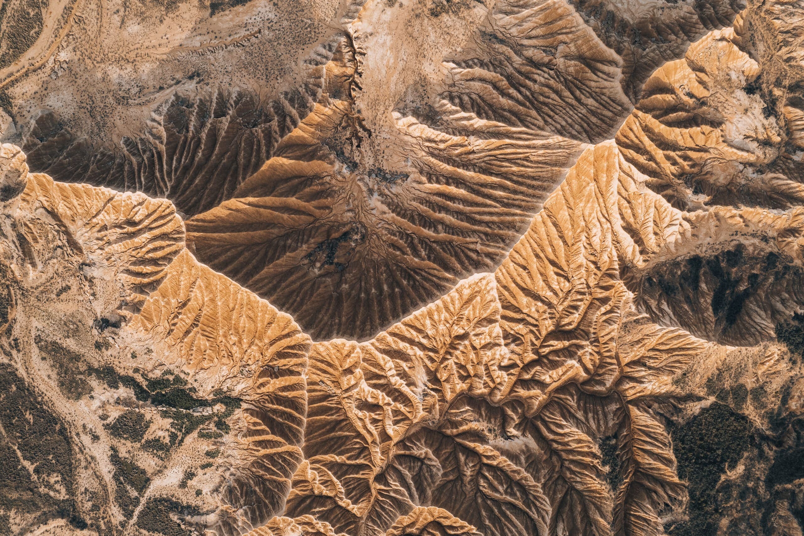 Mission strengthens team with four key hires to support accelerated MGA growth